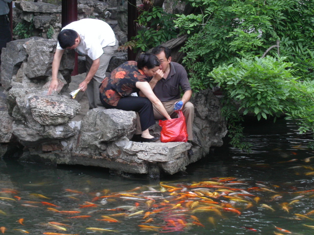 PICT0178.JPG