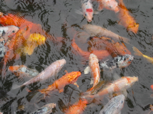 PICT0179.JPG