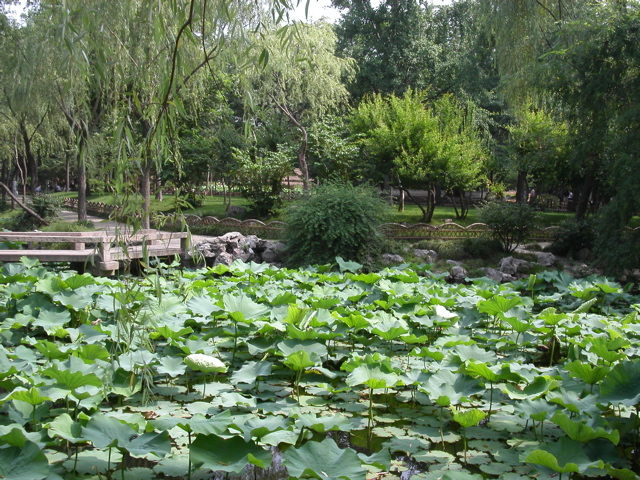 PICT0003.JPG
