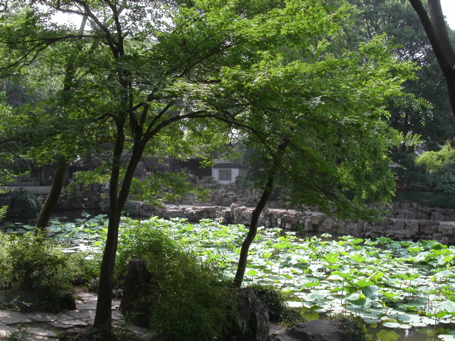 PICT0010.JPG