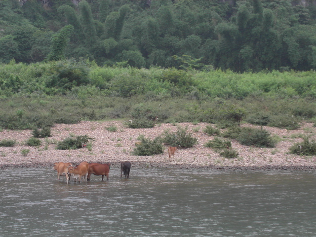 PICT0042.JPG