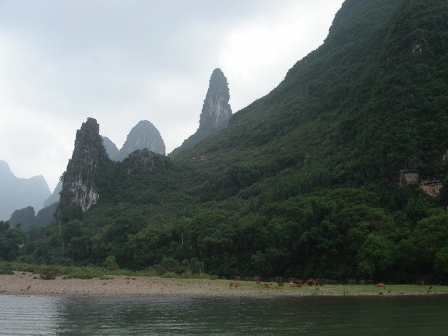 PICT0054.JPG