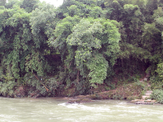 PICT0079.JPG