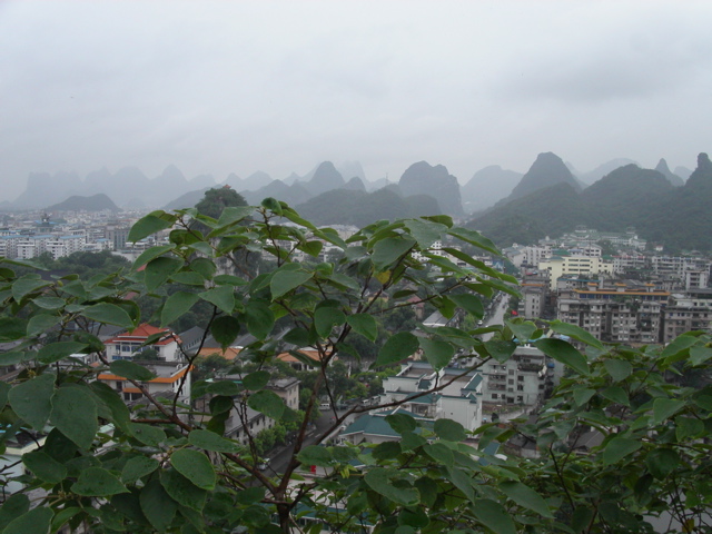PICT0111.JPG
