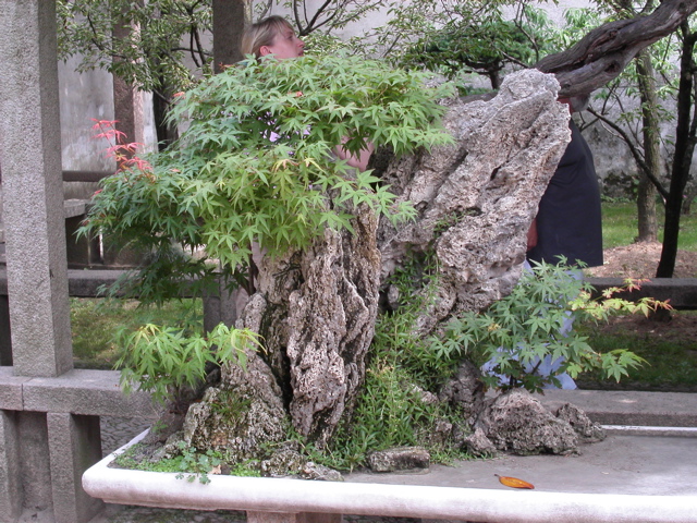 PICT0181.JPG