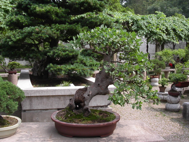 PICT0182.JPG