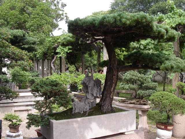 PICT0183.JPG