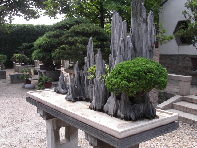 PICT0184.JPG