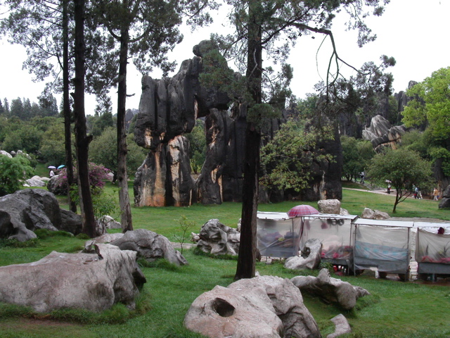 PICT0122.JPG