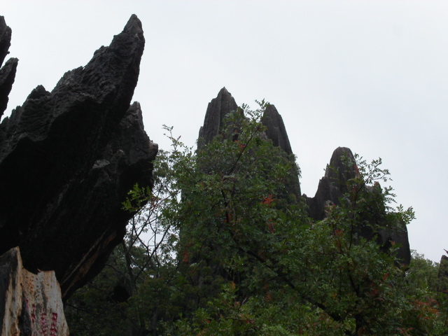 PICT0123.JPG