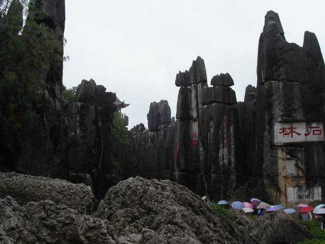 PICT0125.JPG
