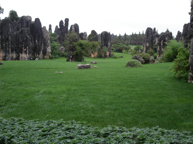PICT0131.JPG