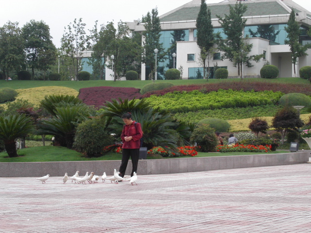 PICT0142.JPG