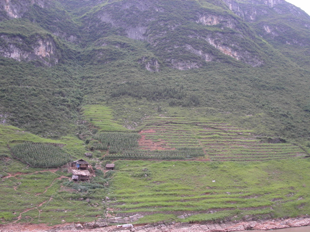 PICT0217.JPG