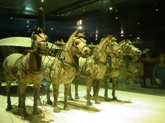 PICT0241.JPG