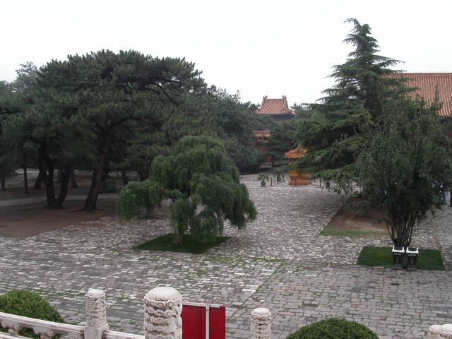PICT0328.JPG