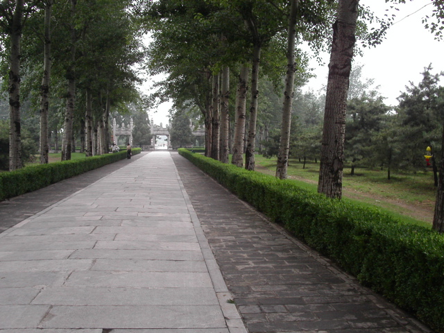PICT0331.JPG