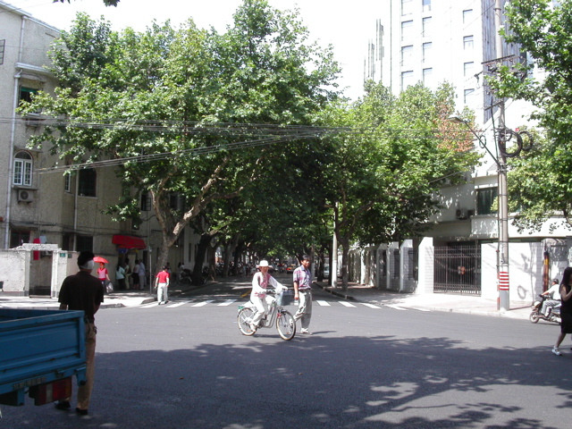 PICT0106.JPG