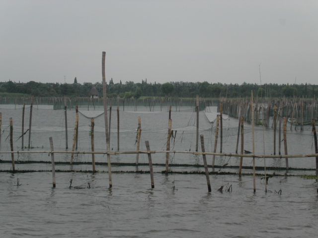 PICT0125.JPG