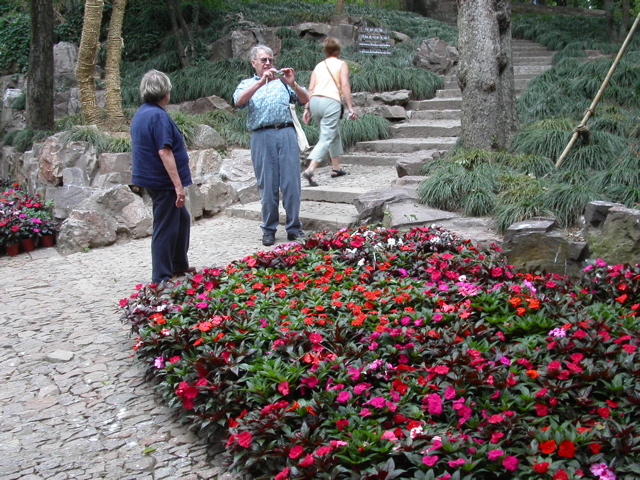 PICT0137.JPG