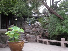 PICT0175.JPG
