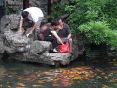 PICT0178.JPG