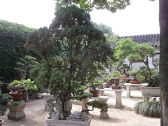 PICT0187.JPG