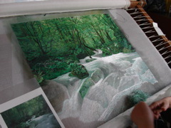 PICT0189.JPG