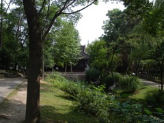 PICT0004.JPG