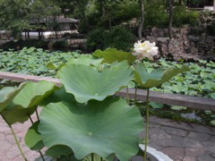 PICT0006.JPG