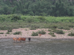 PICT0042.JPG