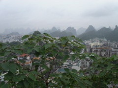PICT0111.JPG