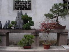 PICT0180.JPG