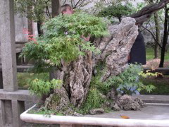 PICT0181.JPG