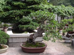 PICT0182.JPG