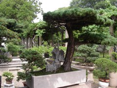 PICT0183.JPG