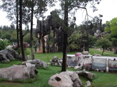 PICT0122.JPG