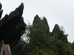 PICT0123.JPG