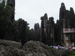 PICT0125.JPG