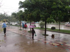PICT0138.JPG