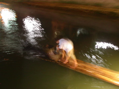 PICT0095.JPG