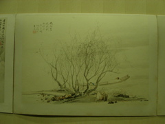 PICT0062.JPG