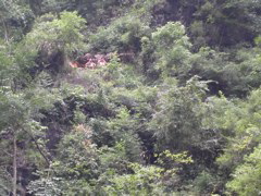 PICT0201.JPG