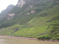 PICT0215.JPG