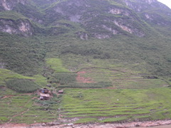 PICT0217.JPG