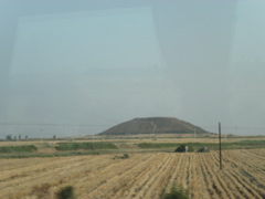 PICT0233.JPG