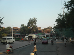 PICT0236.JPG