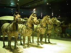 PICT0241.JPG