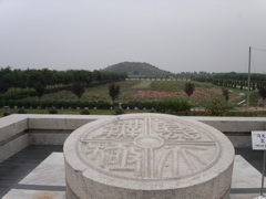 PICT0281.JPG