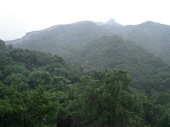 PICT0309.JPG